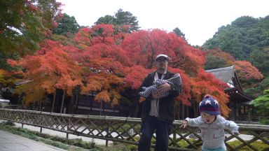 かえで.jpg