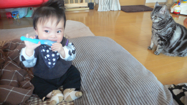 P1120335.png
